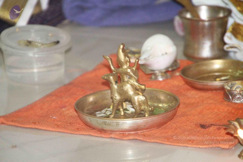 File:20130204 Photo 1066 1ikZJ7ob9HlDlN2ZMC4xUCH wrrA7LjA3.JPG