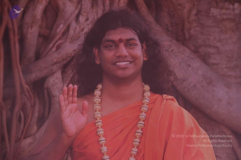 File:20130205 Photo 1017 1uaPXIyy1wwZUPr4yRWGATzlrVHGxPpkT.JPG