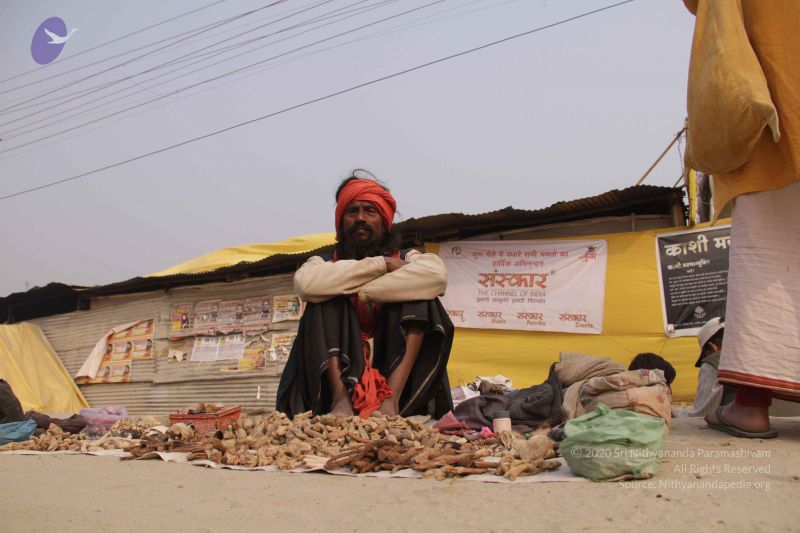 File:20130205 Photo 1057 17FF7hCcgxu4Y70yQB cLzwB-jDzPLbMD.JPG