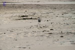 20130205 Photo 1108 1O9EGDMpA9 60Xx9YOTu7Vwe9uWmyI32L.JPG