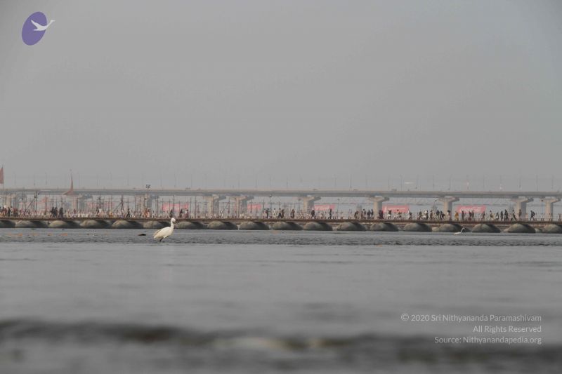 File:20130205 Photo 1122 1jS yeL58mkbT6asFqYlIoDJtPhLKd0FO.JPG