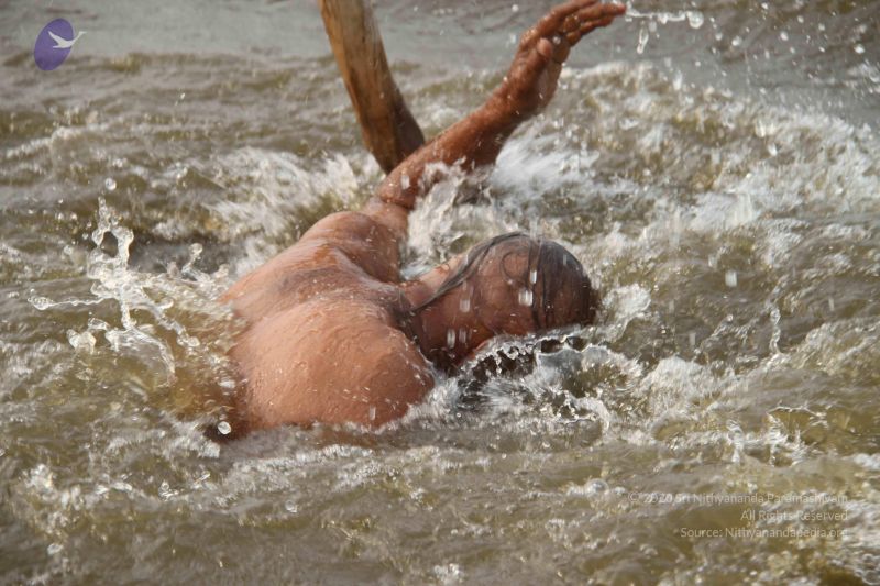 File:20130205 Photo 1136 1pYXY1QSy74BPfPOwqllZpx275qcLz1jn.JPG