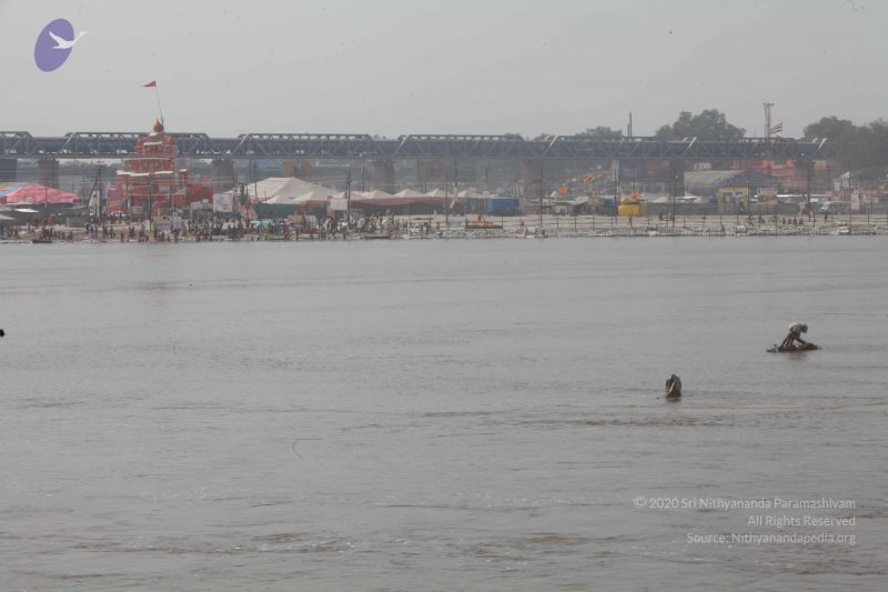 File:20130207 Photo 1340 1wi2ZjsyoMz0K5UXYXAPnlX32-4xL4C2n.JPG