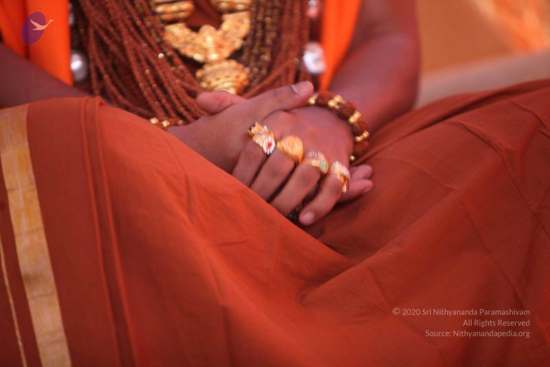 File:20130208 Photo 1052 14DfoOr-mwqY9ae62NZL717bccLttcKof.JPG