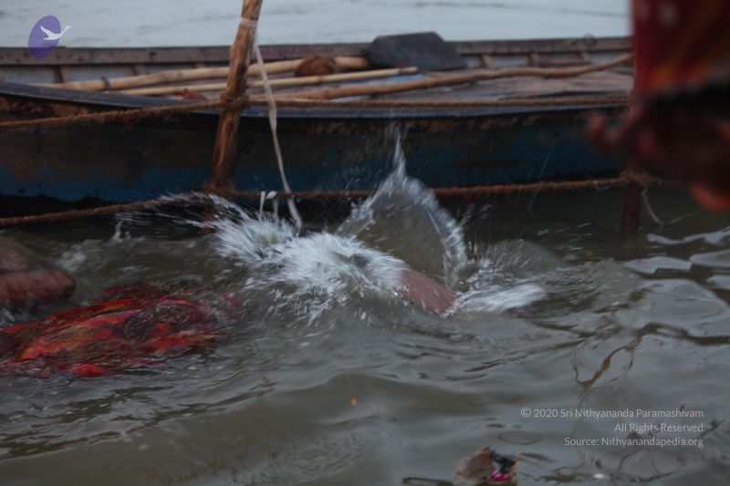 File:20130213 Photo 1010 1pJsiSR-swQqW7InAb3MIqYiWTQy0u 7X.JPG