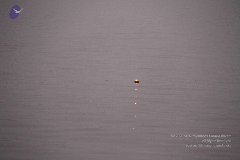 File:20130213 Photo 1030 1Tl0aTqJBNaz MxUSJVVxJuBUFlHJYU8U.JPG