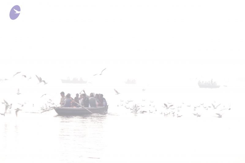 File:20130213 Photo 1030 1qNU3Vi59wEZfEisOC0SYUDPaeEUVvc8P.JPG