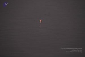 20130213 Photo 1031 1crmWvU3FzLjh Vxs83cNgtgoIVa sRTQ.JPG