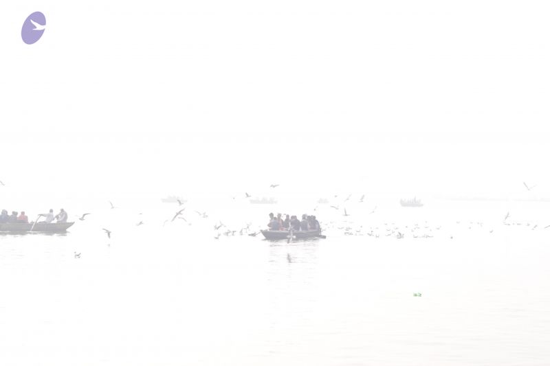 File:20130213 Photo 1031 1hk1lQiVz24GiU2QhCZEcU9MzWnAo4eDs.JPG