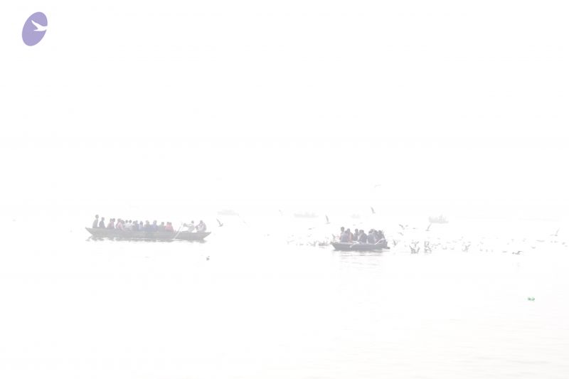 File:20130213 Photo 1032 1vQo9 nnP2wFBGguVwCTsFxsICSaZ1y4h.JPG