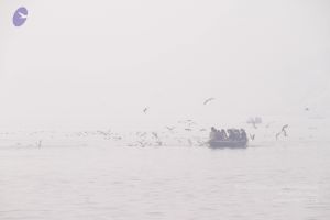 20130213 Photo 1033 1yMx2wnxH1LrQ-wJC4- CIr1kodQ7p7Ko.JPG