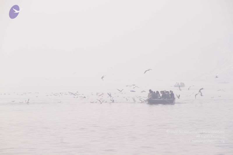 File:20130213 Photo 1033 1yMx2wnxH1LrQ-wJC4- CIr1kodQ7p7Ko.JPG