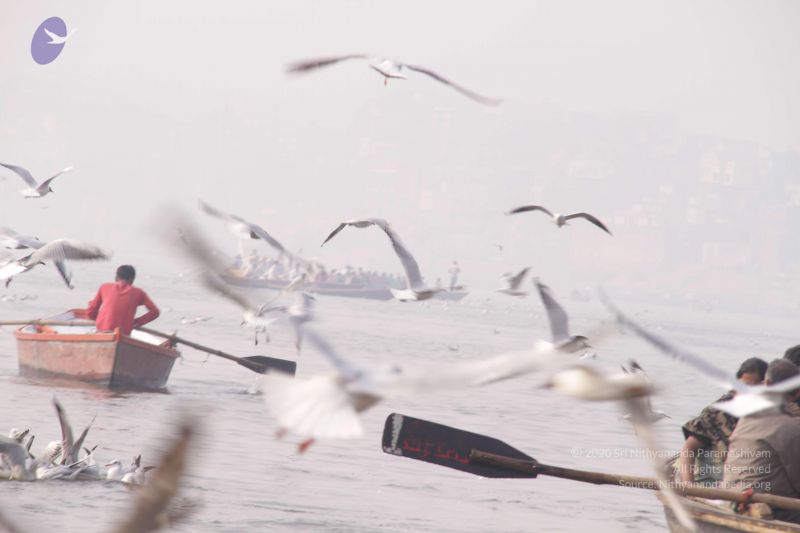 File:20130213 Photo 1038 1UiTp-6PmiS29d2FcCtcMn2xNLpZMLyR0.JPG