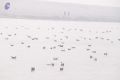 Thumbnail for version as of 14:31, 1 June 2021