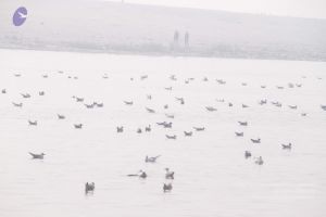20130213 Photo 1040 1cClRKQxVfkeIy05O 4 d3-N0Zn3Q6FUe.JPG