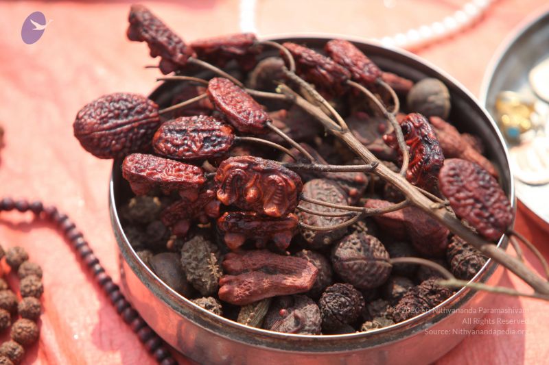 File:20130213 Photo 1042 17FqgsypxVdXj6CefKkij0DwgQPg1gJ6U.JPG