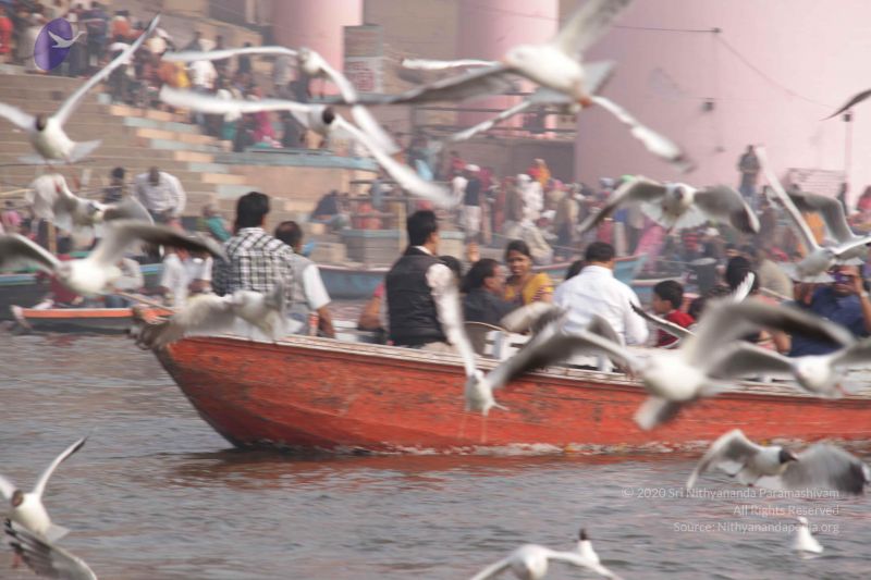 File:20130213 Photo 1042 1suN7 cvWwmoSqT0aQ8YKdujNVH4zYpqW.JPG