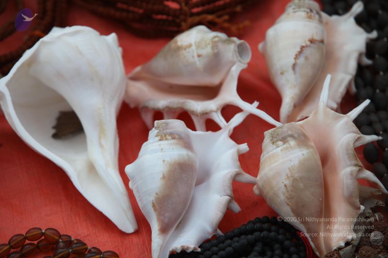 File:20130213 Photo 1043 1BjYXtKXp8bXkNt8xJrCuUzXbvdkUrErl.JPG