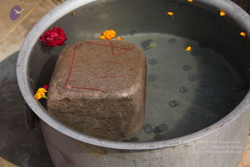 File:20130213 Photo 1045 17RfAv5EQgZodGjO9T8IP3uoBDBhsLRPI.JPG