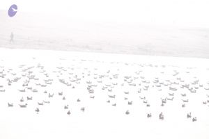 20130213 Photo 1189 19otAUgnyKM3BfeST0dRFrlFAi0D5CtLl.JPG