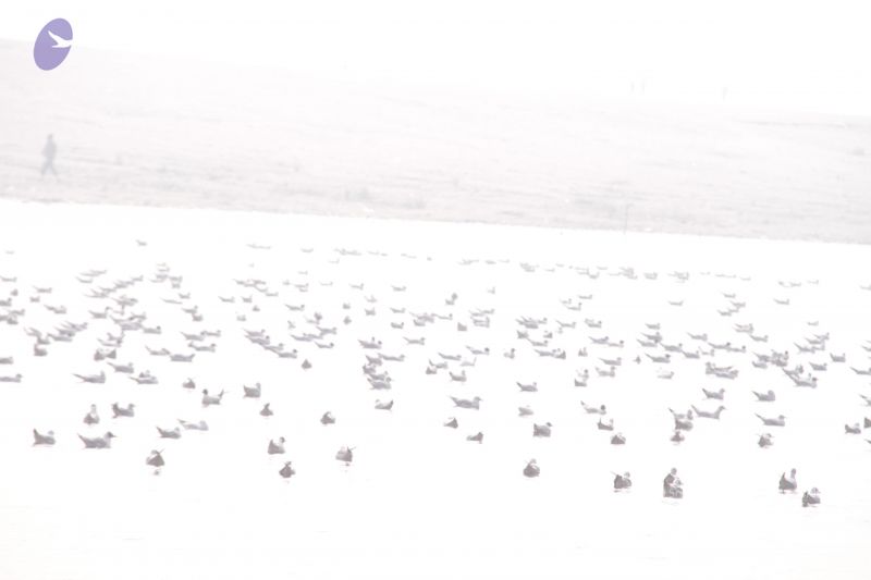 File:20130213 Photo 1189 19otAUgnyKM3BfeST0dRFrlFAi0D5CtLl.JPG