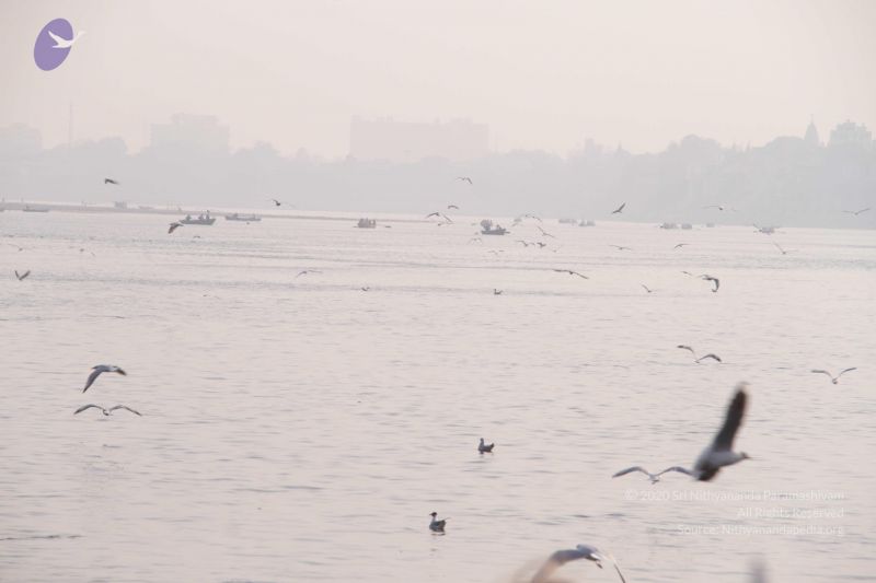 File:20130213 Photo 1550 1IXdy51yMva-DX0N7zW2NxsqYfQ JB0jc.JPG