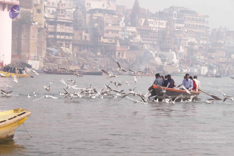 File:20130213 Photo 1570 1zIpeK3e3qrn7wDHiGYe1wH2GUaUQyNUi.JPG