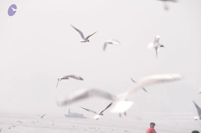 File:20130213 Photo 1576 1dJSfw1X-vh7F5ZlS5Xc3gUEz9kEQhnYB.JPG