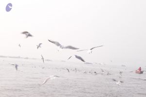 20130213 Photo 1578 12PxPEPjXUx8FtAUP1 bsBjw3hXVu D7b.JPG