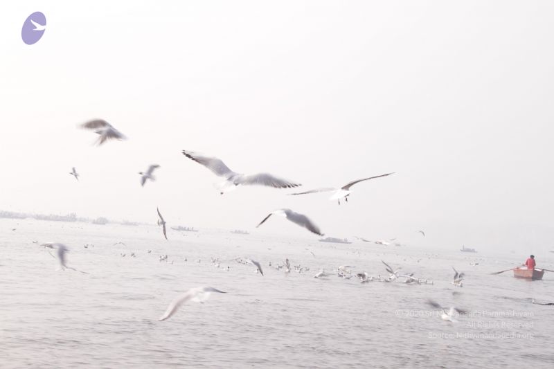 File:20130213 Photo 1578 12PxPEPjXUx8FtAUP1 bsBjw3hXVu D7b.JPG