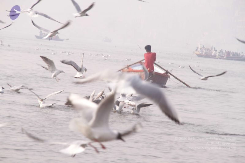 File:20130213 Photo 1580 1xZkRmMpxNEmOrcnl6kY YE3fgMmM86er.JPG