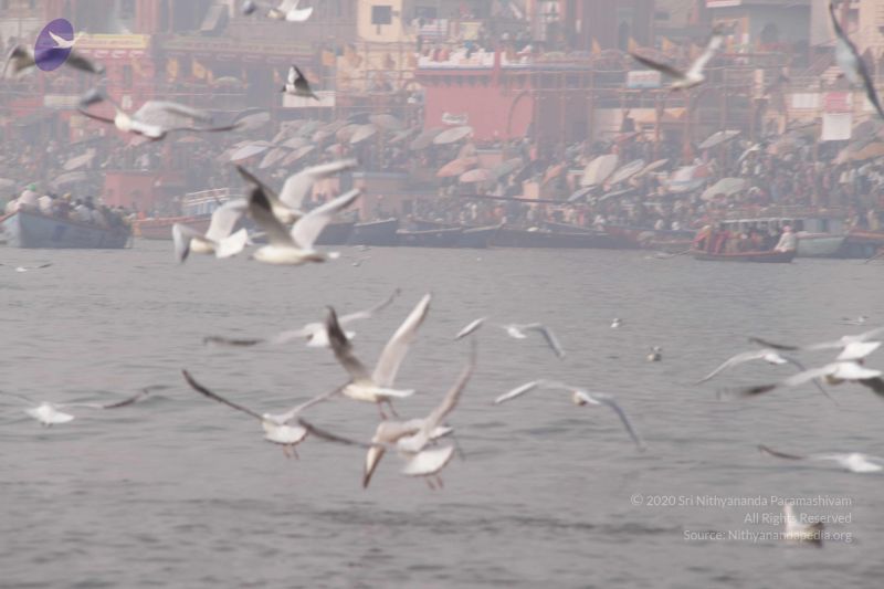 File:20130213 Photo 1587 1egIU9slSUlJ9Sj7drsBASA4xTwo5Cz04.JPG