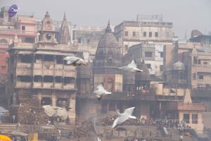 20130213 Photo 1592 1J8h4g6yBPohe-TQJBtCCV5BzNZkeN0 0.JPG