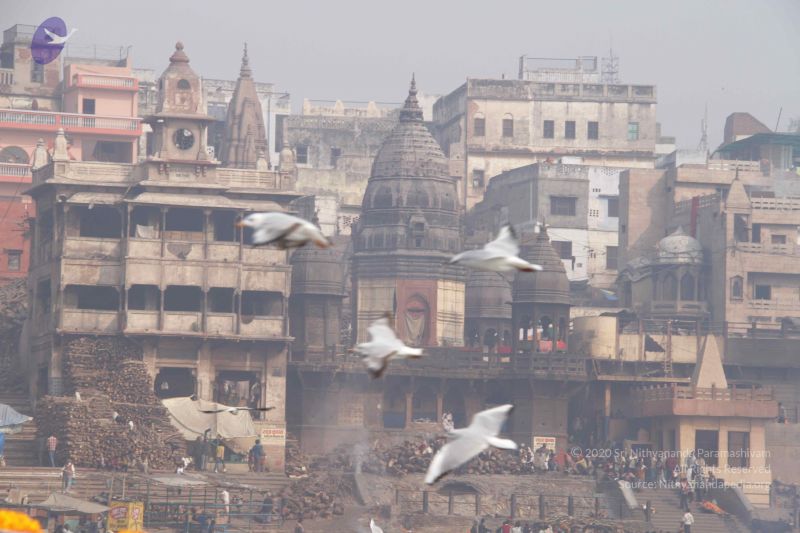 File:20130213 Photo 1592 1J8h4g6yBPohe-TQJBtCCV5BzNZkeN0 0.JPG