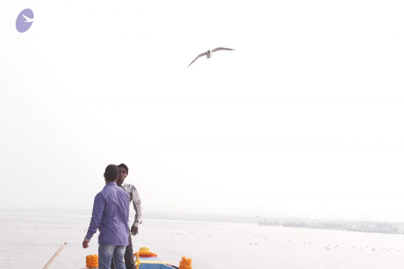 File:20130213 Photo 1610 1JmAIHfZZF72suRJNCjLLUrc-J7GCDtCf.JPG