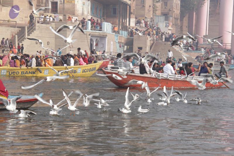 File:20130213 Photo 1611 1XZMn0TnOyd0F0EMrUFnsi7yd6MG1dh5i.JPG