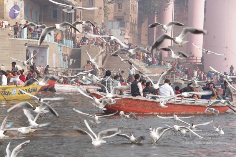 File:20130213 Photo 1612 1-ybUkpZ0DwBAln72VxpC8D9S8l5CQIBI.JPG