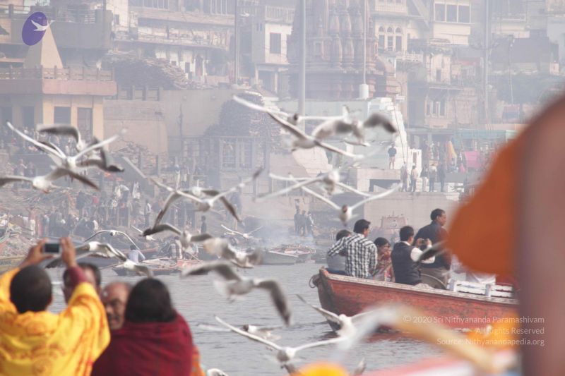 File:20130213 Photo 1615 1tSpIazvyCsN5brLYyia7czDtZzileEJv.JPG