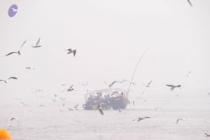 20130213 Photo 1616 1S5GLpn-c jino377VG5GxBz51HxfIql9.JPG