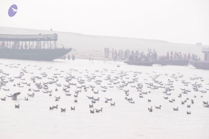 20130213 Photo 1626 1Wwd26oQE-eMsjH-vIQSZPKrR7U67Jdo7.JPG