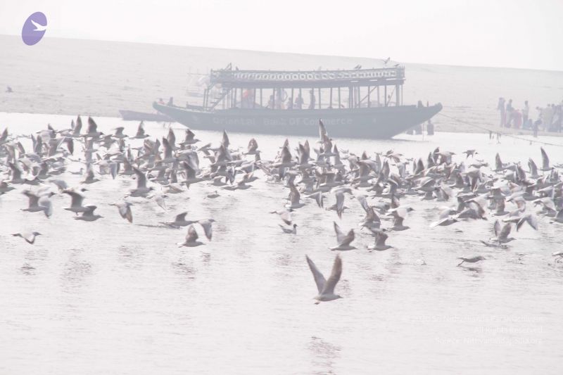 File:20130213 Photo 1627 1Vi2isjVX1udRci i4pgAe68Ktg6mdFnP.JPG