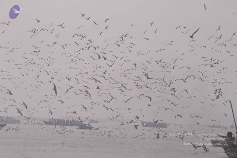 File:20130213 Photo 1632 1MmSHgGeSj KccXYT4jcmm6MT-c8ON3hg.JPG