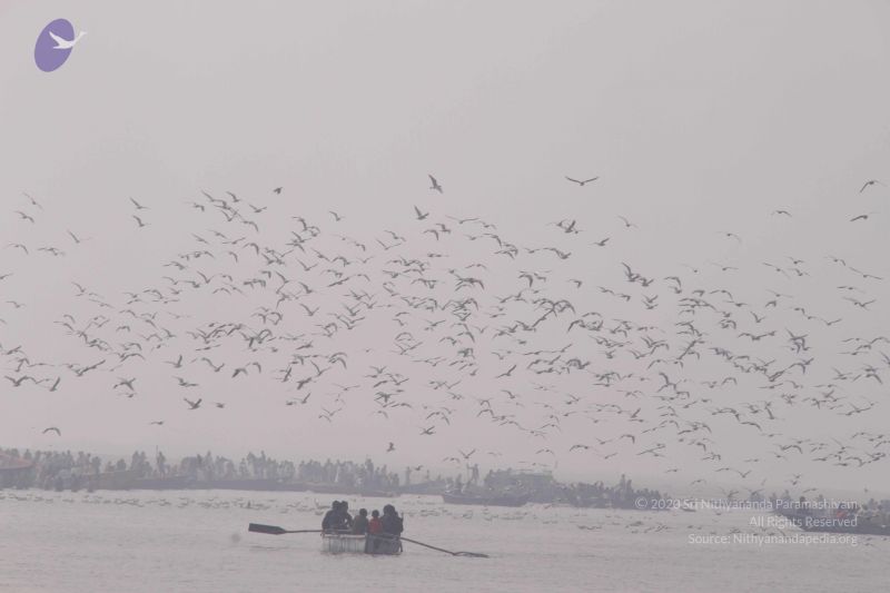 File:20130213 Photo 1635 1AKtT4sF8j5PNKY15jMfd0Ls2pbo4yHqM.JPG