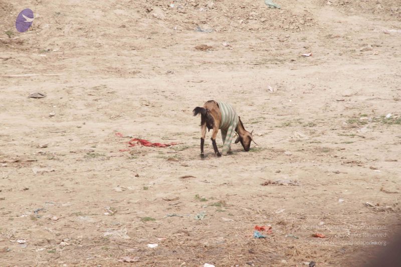 File:20130213 Photo 1647 1U-rP xebJ q9fcRjmNsVkmoMCvMq2iNu.JPG