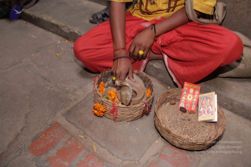 File:20130213 Photo 1766 1j0WFpgOrshQoUqHyLixc98YBDeEOm5wt.JPG