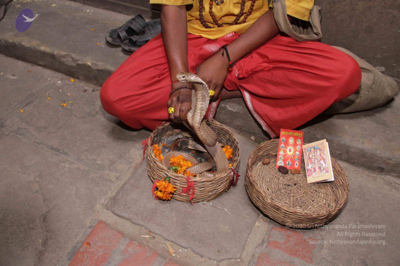 File:20130213 Photo 1767 11fklAtL4yHkdNAr Qp-ibON2RZVKltuX.JPG