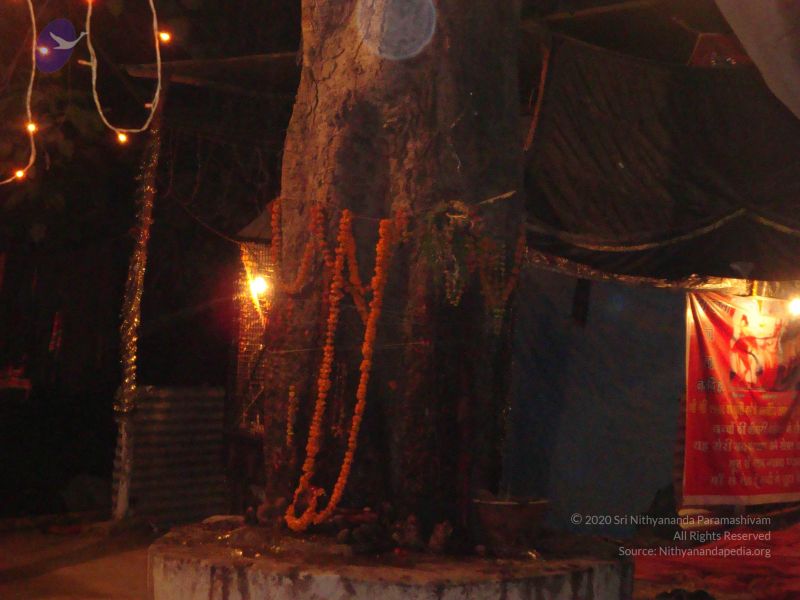 File:20130213 Photo 2127 15WDfYbXE-ZKmHUA4X5XWU vM92Q62was.JPG