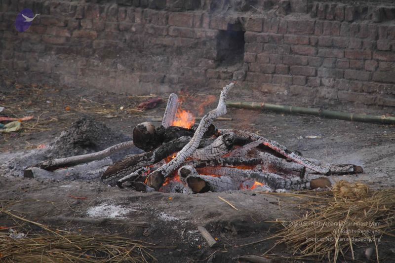 File:20130213 Photo 2244 1kVL8Q2IbJf5HQ8YI p RDCxiT7tZxg7t.JPG