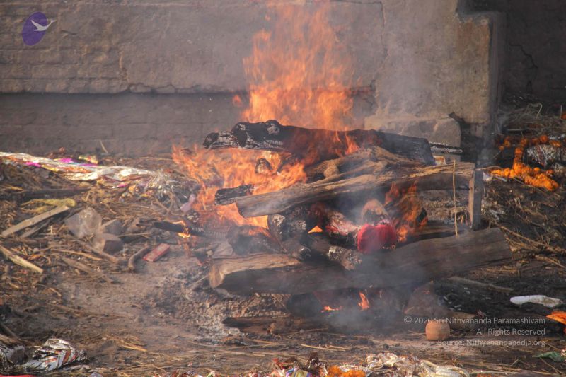 File:20130213 Photo 2250 1mm9Abf7beXf4CjzyVrO9tQ-fgxtNtXUl.JPG