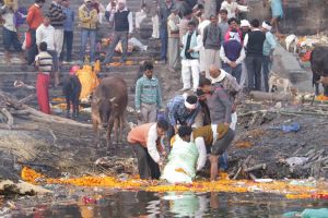 20130213 Photo 2280 1snh0VwuQ3oKqZlymIPprCLBitmDUyidG.JPG